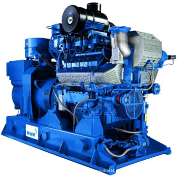 Mwm / Motorenwerke Mannheim Brand Landfill Gas Generator